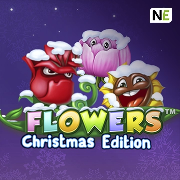 Flowers Christmas Edition - CAMPSLOT138