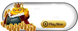 Taparoo - CAMPSLOT138