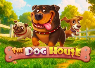 The Dog House - CAMPSLOT138