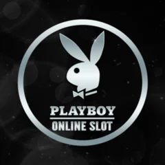Microgaming : Playboy - CAMPSLOT138